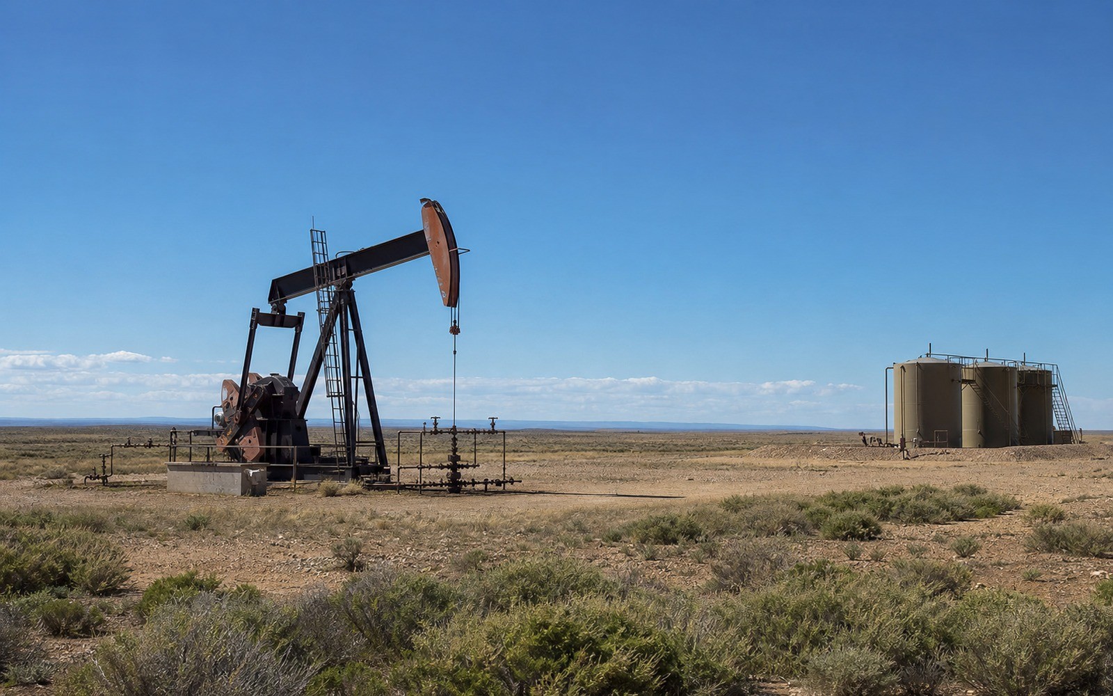 Delaware Basin Mineral Rights
